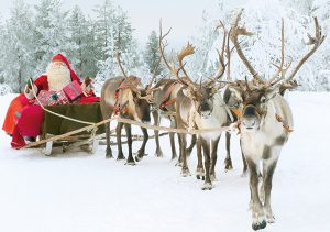 real santa sleigh and reindeer