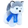 Istuva Husky Pehmolelu Kaulahuivilla.