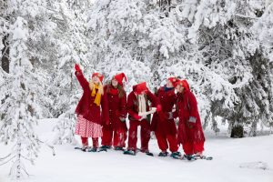 Santa Claus Safaris.